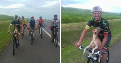 Em SP, ciclistas encontram cão abandonado em estrada e o levam para casa Em SP, ciclistas encontram cão abandonado em estrada e o levam para casa