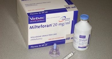 Primeiro medicamento contra leishmaniose em cães no Brasil é aprovado Primeiro medicamento contra leishmaniose em cães no Brasil é aprovado