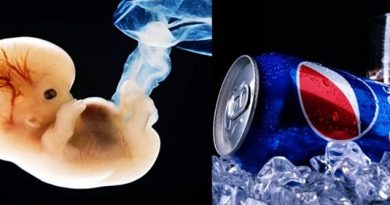 Pepsi avisa que desfez parceria com Senomyx, que faz pesquisa com fetos para adoçantes Pepsi avisa que desfez parceria com Senomyx, que faz pesquisa com fetos para adoçantes